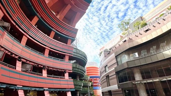 日本福岡市區網紅景點包車/可熊本別府綠牌5-14座包車-精選