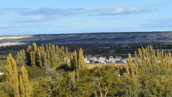 Valley + Paleontological Museum for cruise passengers