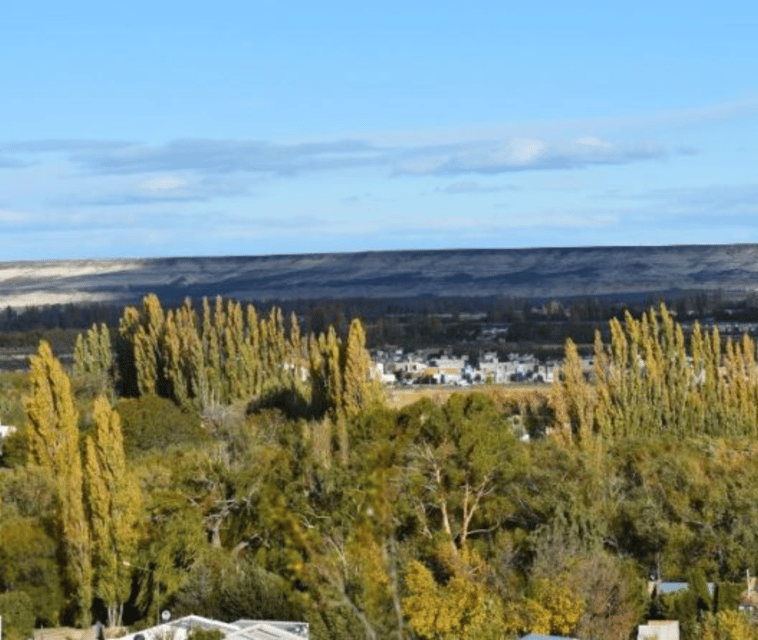 Valley + Paleontological Museum for cruise passengers