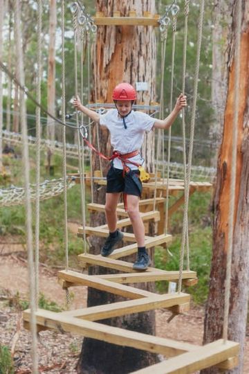 Pemberton: 1 Hour Explorer Pass with Ziplines and High Ropes