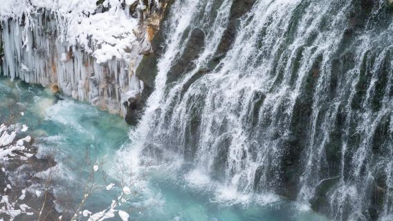 日本北海道：旭山動物園+白須瀑布+美瑛+森林精靈陽台