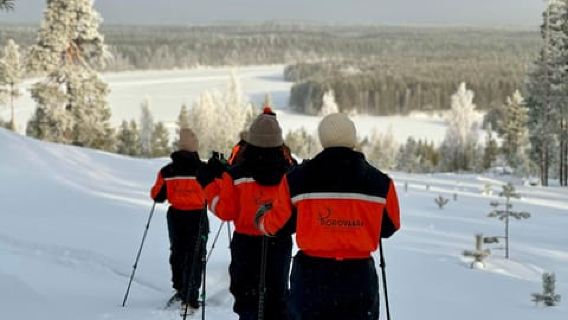 Rovaniemi: Snowshoe trip to meet reindeer