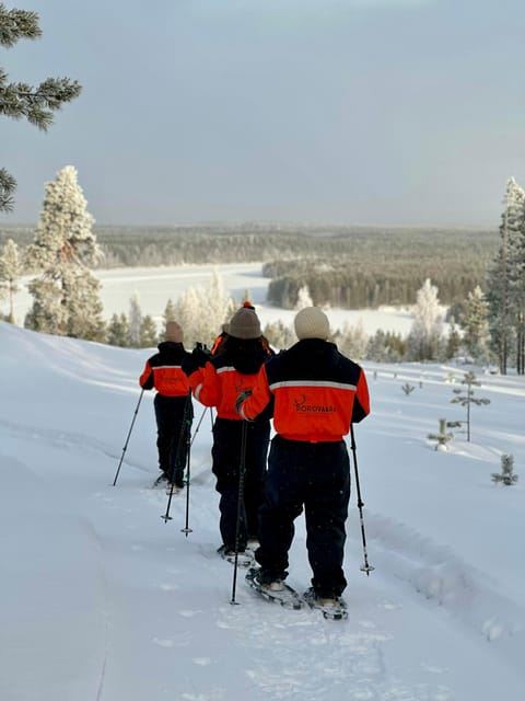 Rovaniemi: Snowshoe trip to meet reindeer