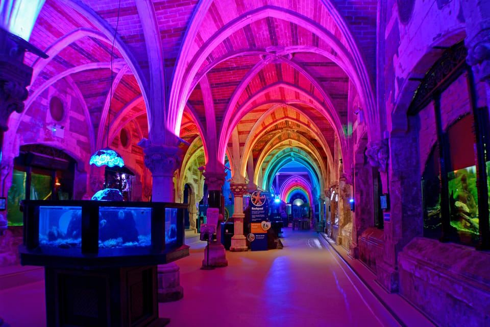 Tiket Masuk Sea Life Brighton