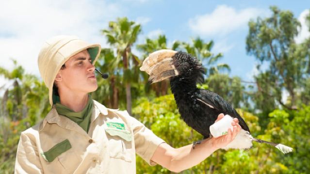 Arona: Eintritts-Ticket für den Jungle Park Zoo auf Teneriffa