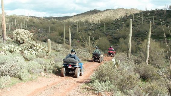 Tour di mezza giornata in quad al Box Canyon e ai Pinal Mountains
