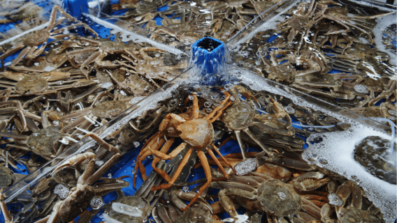 Seoul: Sokcho Beach, Market, Hot Spring and Seorak Cable Car