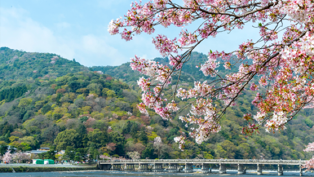 9 人小團 · 京都嵐山＋貴船神社＋三千院一日遊丨可選嵯峨野小火車