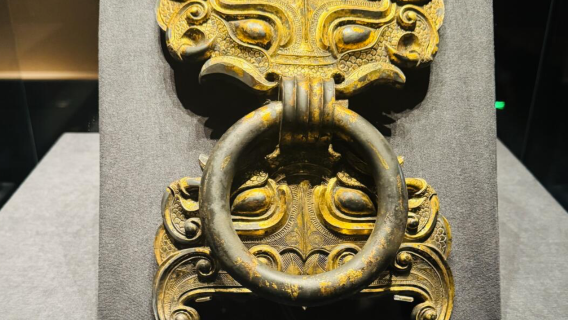 Shanghai Minhang Museum invites internet celebrities to give explanations/ VIP service/rave reviews