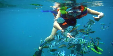 芽莊Mun島浮潛之旅——珊瑚礁探索及燒烤午餐