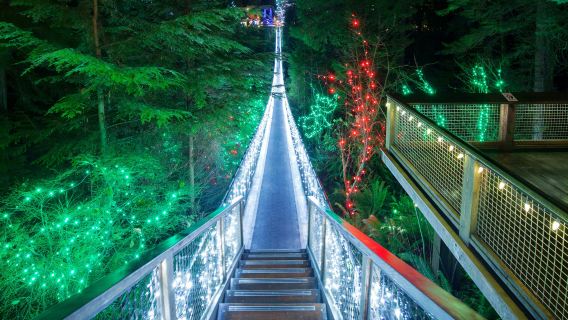 Vancouver: Christmas Tour with Capilano Canyon Lights