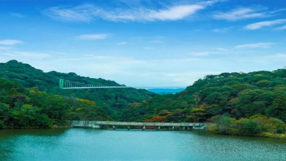 1-day tour to Feiyun Gorge scenic area and Jiufeng Village