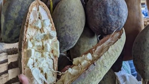 Tham quan thành phố Moshi và trải nghiệm chợ địa phương