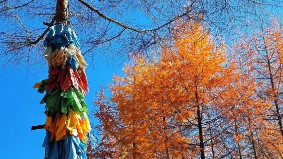 松林灣徒步賞秋一日遊