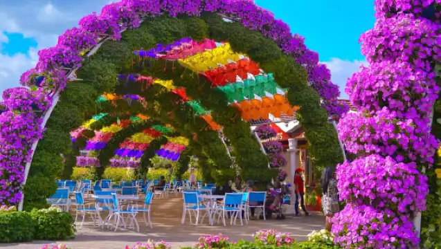 杜拜奇蹟花園 可選飯店接駁 可搭配地球村遊玩