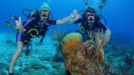 VietnamDa NangFreedivingSnorkeling8 Hours [Full-day Cham Island Tour & Snorkeling]