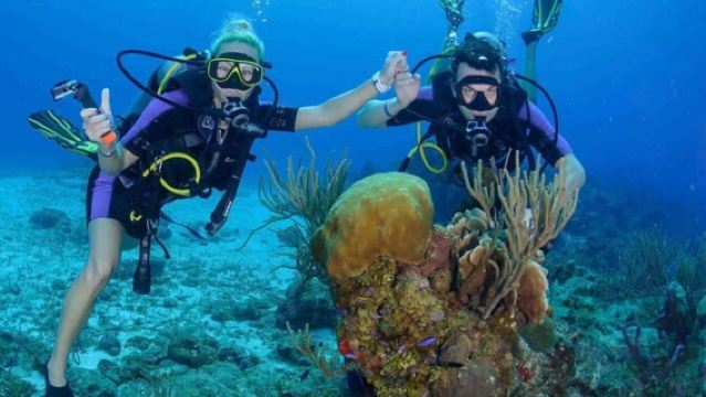 越南峴港自由潛水浮潛8小時 【全日占婆島遊覽及浮潛】