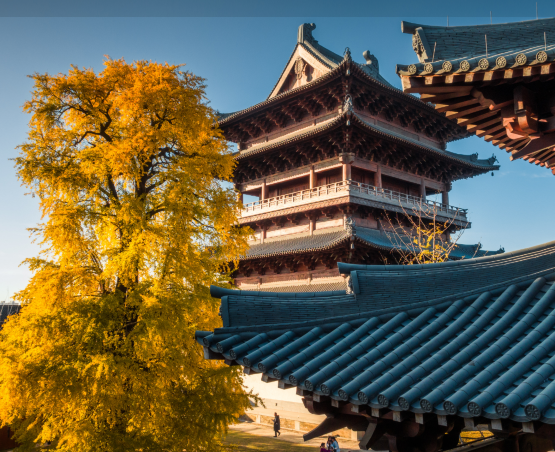 濮院時尚古鎮＋南湖景區＋西南湖生態公園包車遊【嘉興市區】