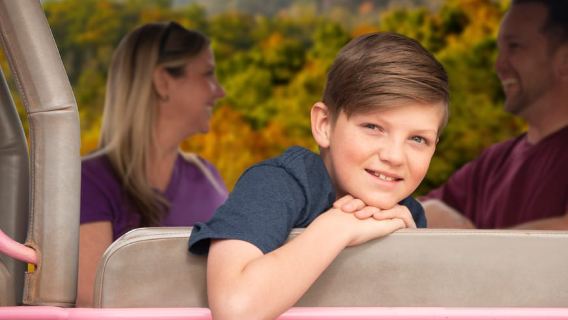 From Pigeon Forge: Roaring Fork 2.5-Hour Jeep Tour