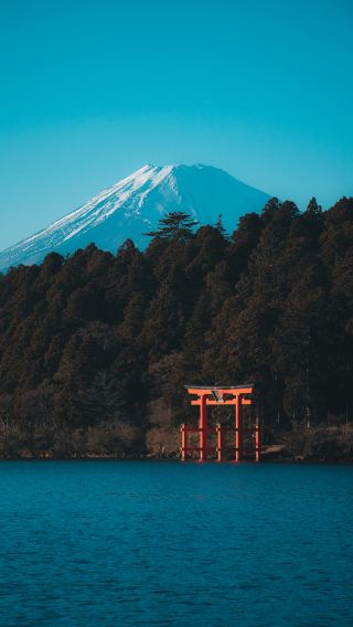 1-day customized private chartered tour in Kanto, Japan [optional destinations: Izu/Yokohama/Nikko/Mt. Fuji and more]
