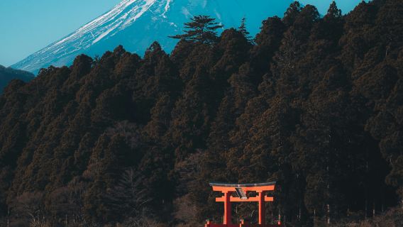 Custom 1-Day Private Chartered Tour in Kanto, Japan [Available for Izu/Yokohama/Nikko/Fuji and More]