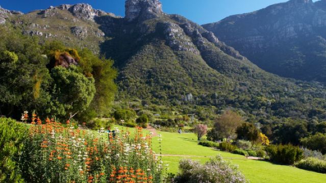 【開普敦包車一日遊】開普敦球場+好望堡+碼頭區+植物園