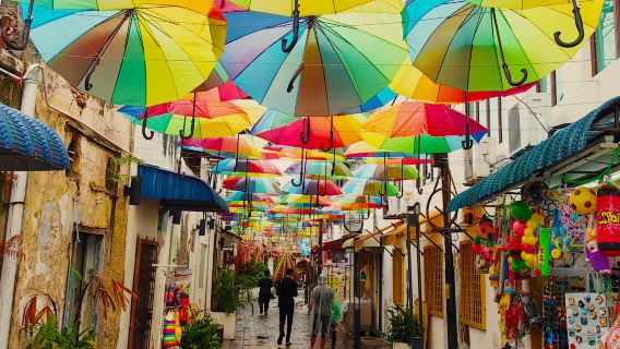 Private Penang Car Tour: Food Trails & Art Streets at Your Pace