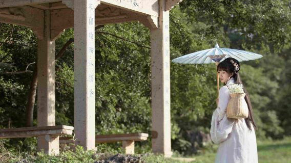 Trip Moments in Gong County[Lonchahuahai Camellia Garden/Multilingual Translation/Photographer Services Including Follow Shots, Aerial Photography, Companion Shots, and Customized Photo Sessions]