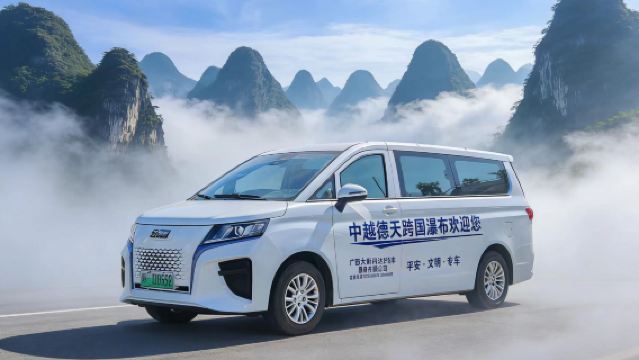 2-8人拼團|私家團包車|南寧崇左可起止｜花山岩畫+白頭葉猴