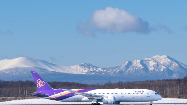 北海道札幌 新千歲機場 接/送機【 定制單程包車-中文司機】