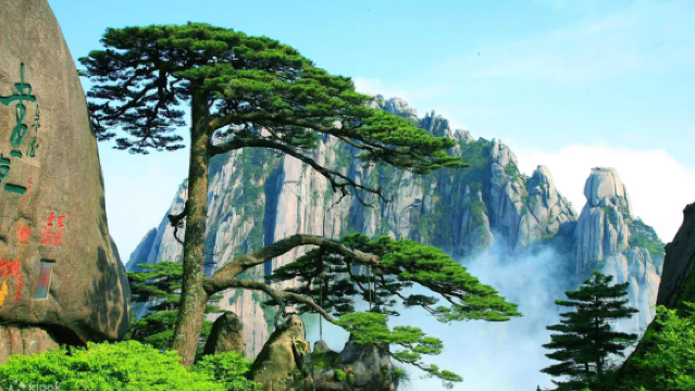 Huangshan: Private Hiking Service | Professional Guide | Attraction Guide | Private Group | Multiple Languages Including Chinese & English