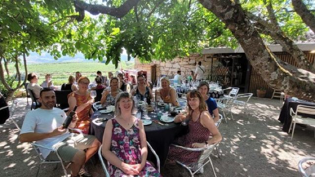 Half-Day Douro Valley Tour with Cruise and Winery Lunch