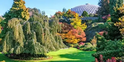 林恩峽谷~松雞山~卡皮拉諾吊橋公園~溫哥華包車一日遊|不含票