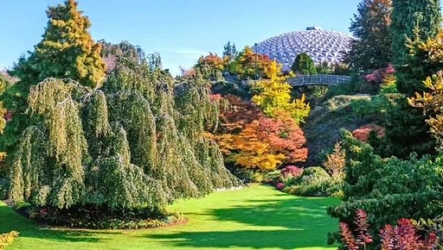 Voyage en groupe à Vancouver : Station de montagne Grouse + Pont suspendu de Capilano [Billets en anglais inclus]