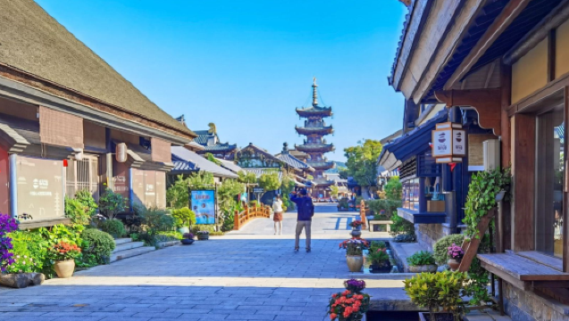 Pulang pergi Suzhou: Jalan Nanchang Wuxi + Patung Buddha Raksasa Lingshan + Teluk Nianhua dengan pemandu wisata multi bahasa termasuk Mandarin/Inggris - Sewa kendaraan pribadi yang disesuaikan