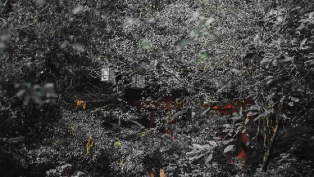 Jurong trip moments[Travel photo shooting services including photos, short videos, wedding photography and videography, promotional videos, portraits, wedding photos with all raw images provided]