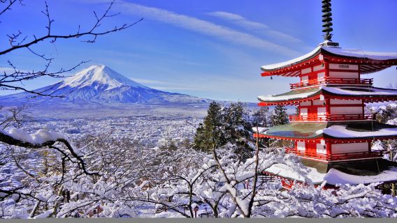 Arakurayama Sengen Parkı + Kawaguchi Gölü + Oishi Parkı + Fuji Saiho Gassho Köyü Günübirlik Turu