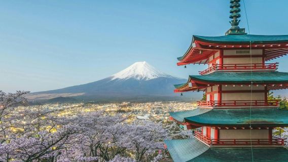 Monte Fuji: Tour Guidato di un Giorno da Tokyo