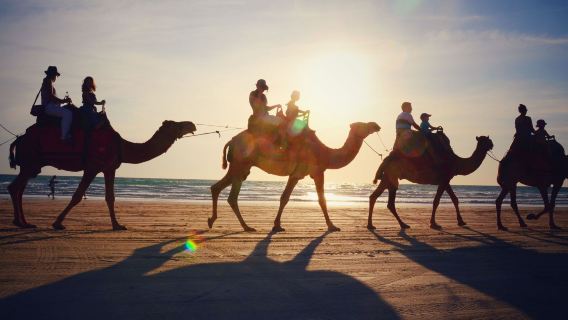 Kamelritt bei Sonnenuntergang in Marsa Alam mit Wüsten- und Meerblick