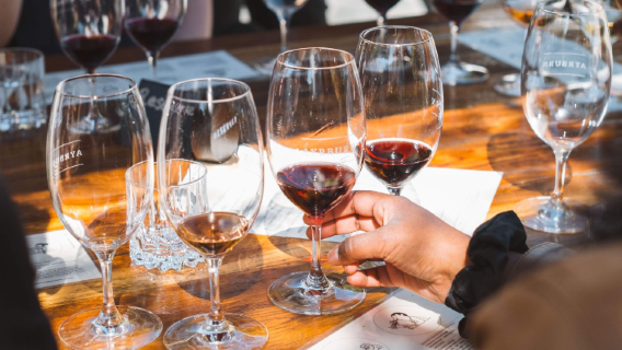 Actividad clásica de degustación de vinos en Queenstown ~ Excursión de medio día para catar vinos [Grupo en inglés]