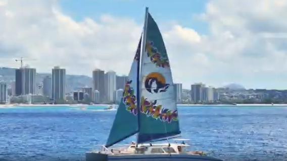 Turtle snorkeling sailing boat tour in Waikiki, Hawaii/optional lunch