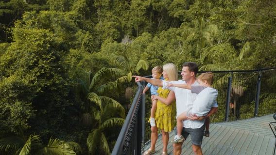 Gold Coast: Tamborine Yağmur Ormanı Skywalk Giriş Bileti