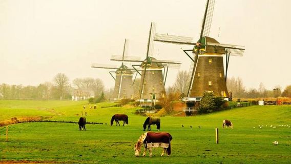 Sewaan peribadi Amsterdam - Menjelajahi Dunia Dongeng Kampung Giethoorn - Pilihan Premium