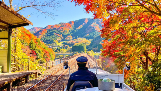 九州自然紅葉秘境一日遊：宮崎高千穗峽・浪漫列車・神話之地巡禮