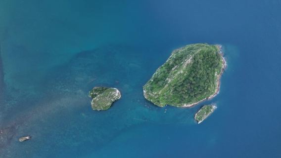 Økosnorkleeventyr til Los Arcos Marine Park i Mismaloya