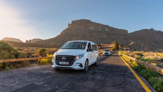 Van Zuid-Tenerife: VIP Grand Reis rond Tenerife-eiland