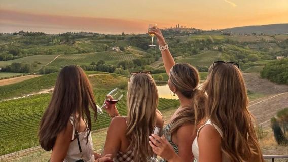 Lille gruppe vingårde, frokost, vinsmagning, S. Gimignano & Mere