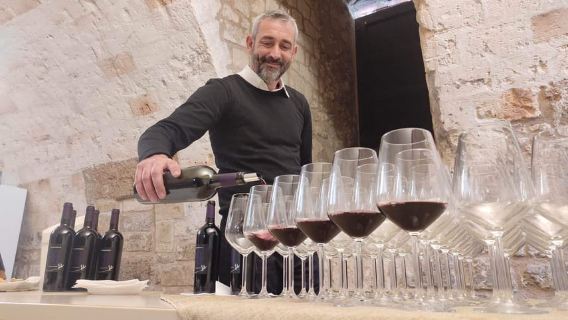 Brindisi: Wine tasting in the cellar