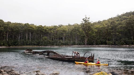 Tasman Peninsula Full-Day Sea Kayak Excursion
