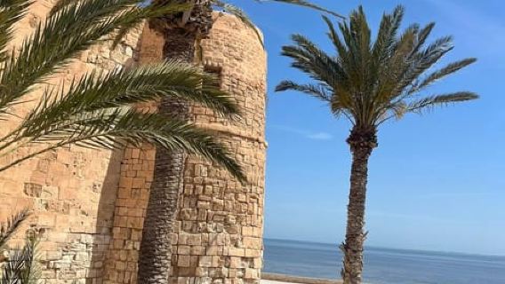Secret Djerba: Hidden Villages & Authentic Places in Half a Day